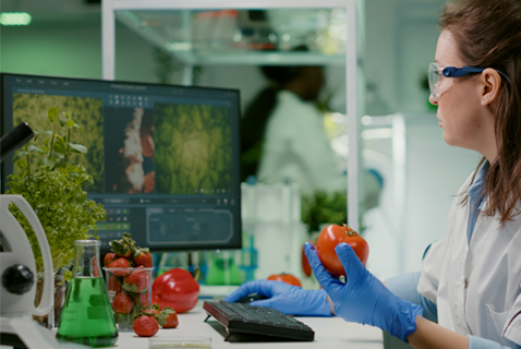 Food-Safety-Management-System
